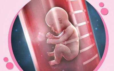 عيادات أمومتي لعمليات أطفال الانابيب