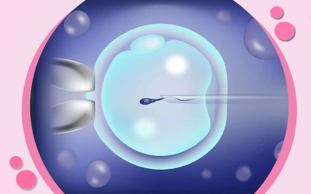 عملية التلقيح الصناعي